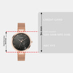 Fashion Women Quartz Grey Dial Analog Mesh Watch TW000X222