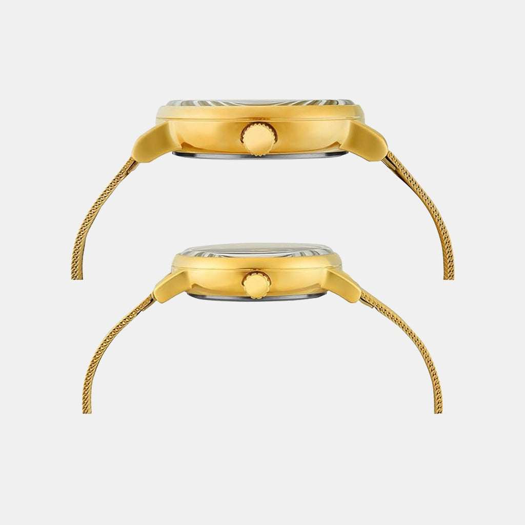 Trendline Couple Quartz Green Dial Analog Mesh Watch TW00PR342