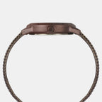 Men Quartz Brown Dial Analog Mesh Watch TW051HG02