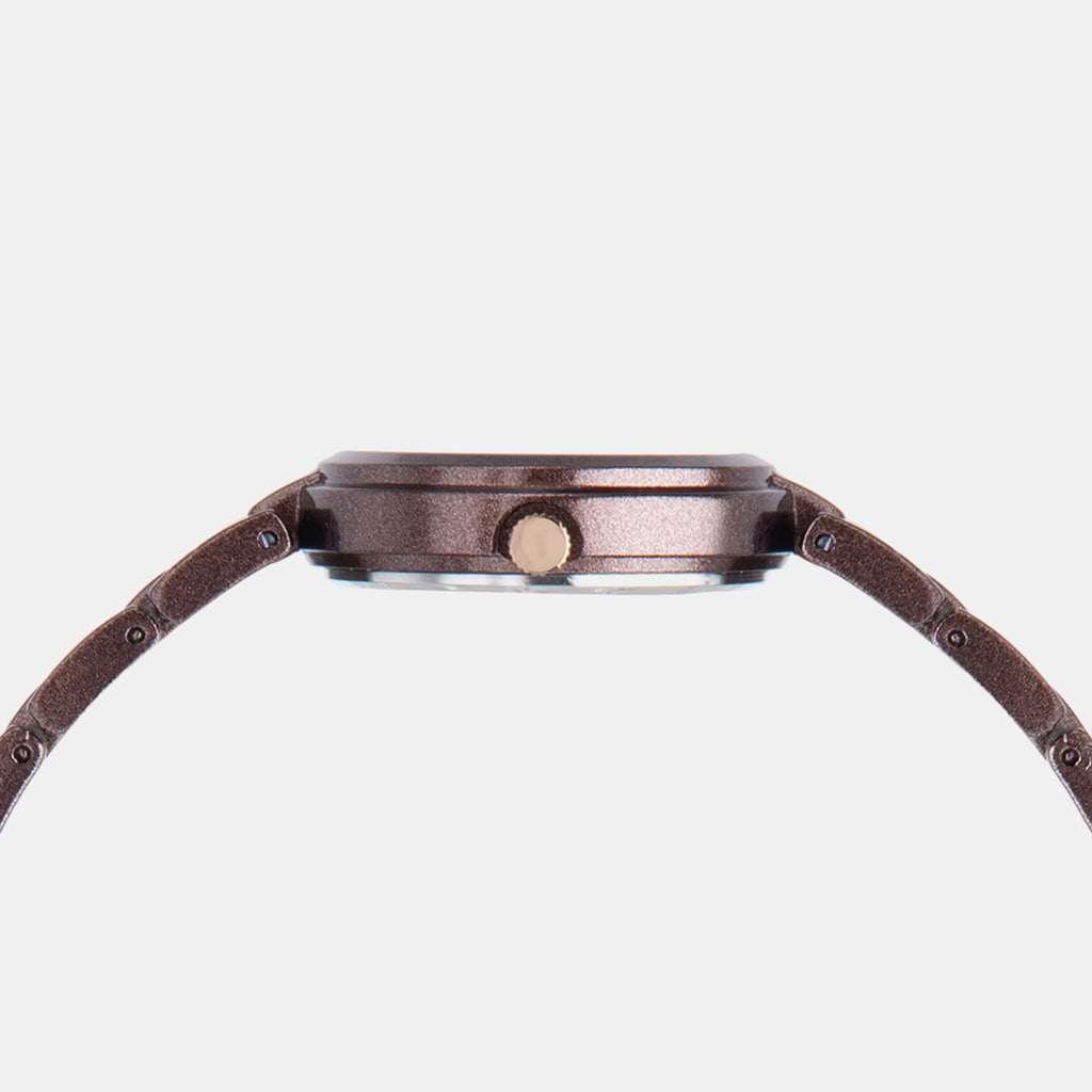 Women Quartz Brown Dial Analog Brass Watch TW065HL01T