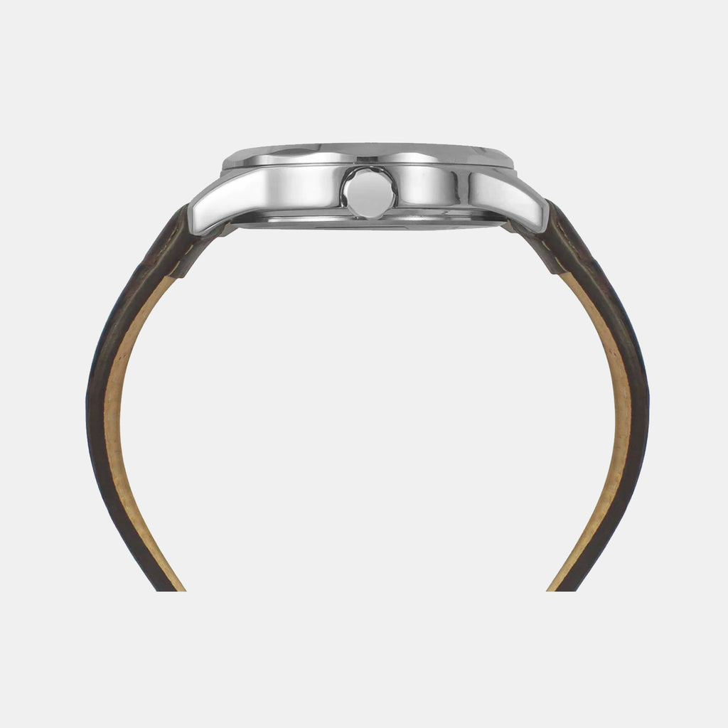 Timex Men Round Brown watch