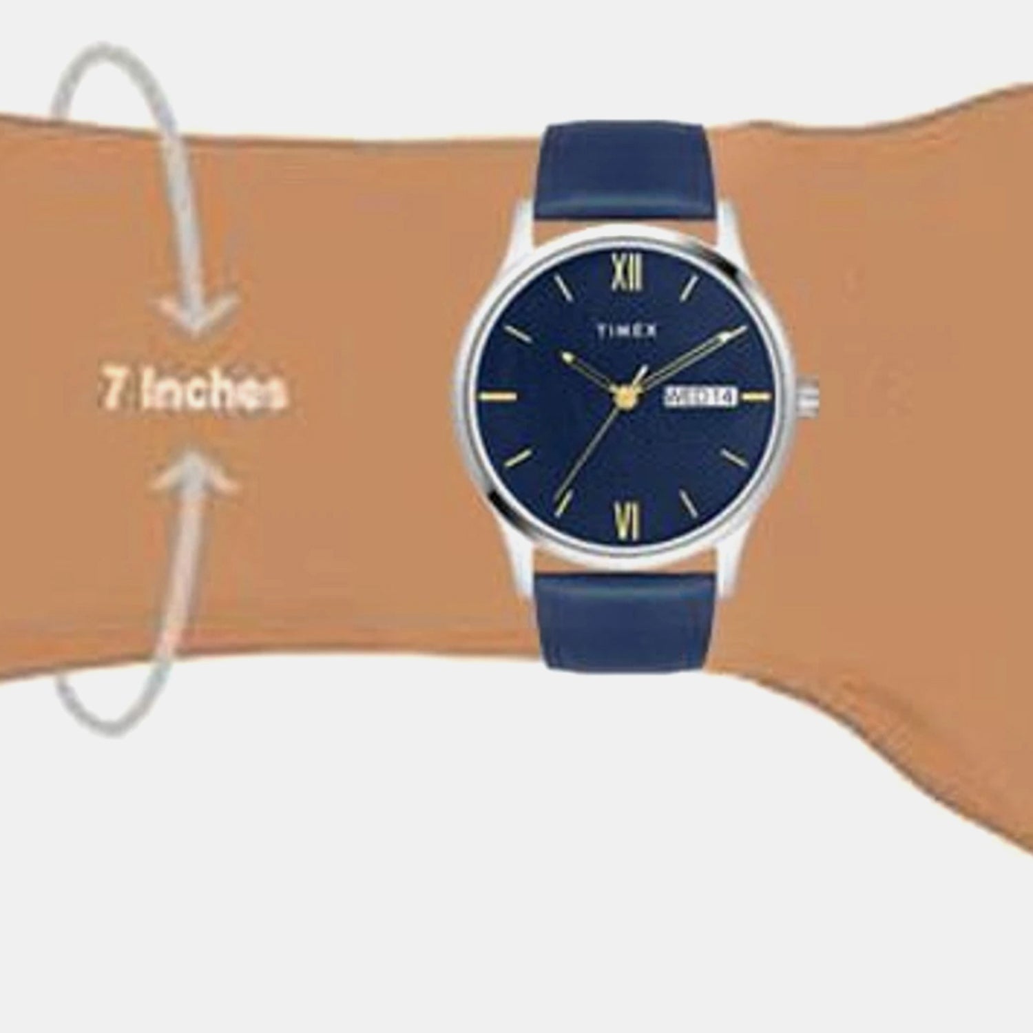 Classics  Men Quartz Dial Analog Leather Watch TW0TG8310