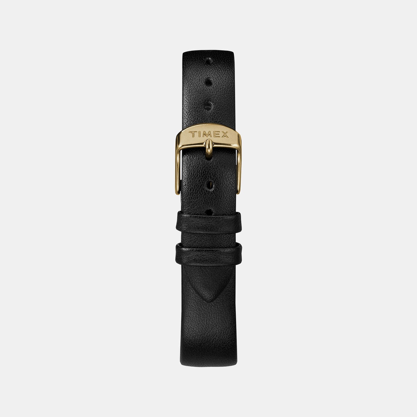 Trend Women Black Analog Brass Watch TW2R36400JQ