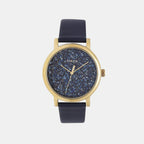 Timex Round Blue Analog watch