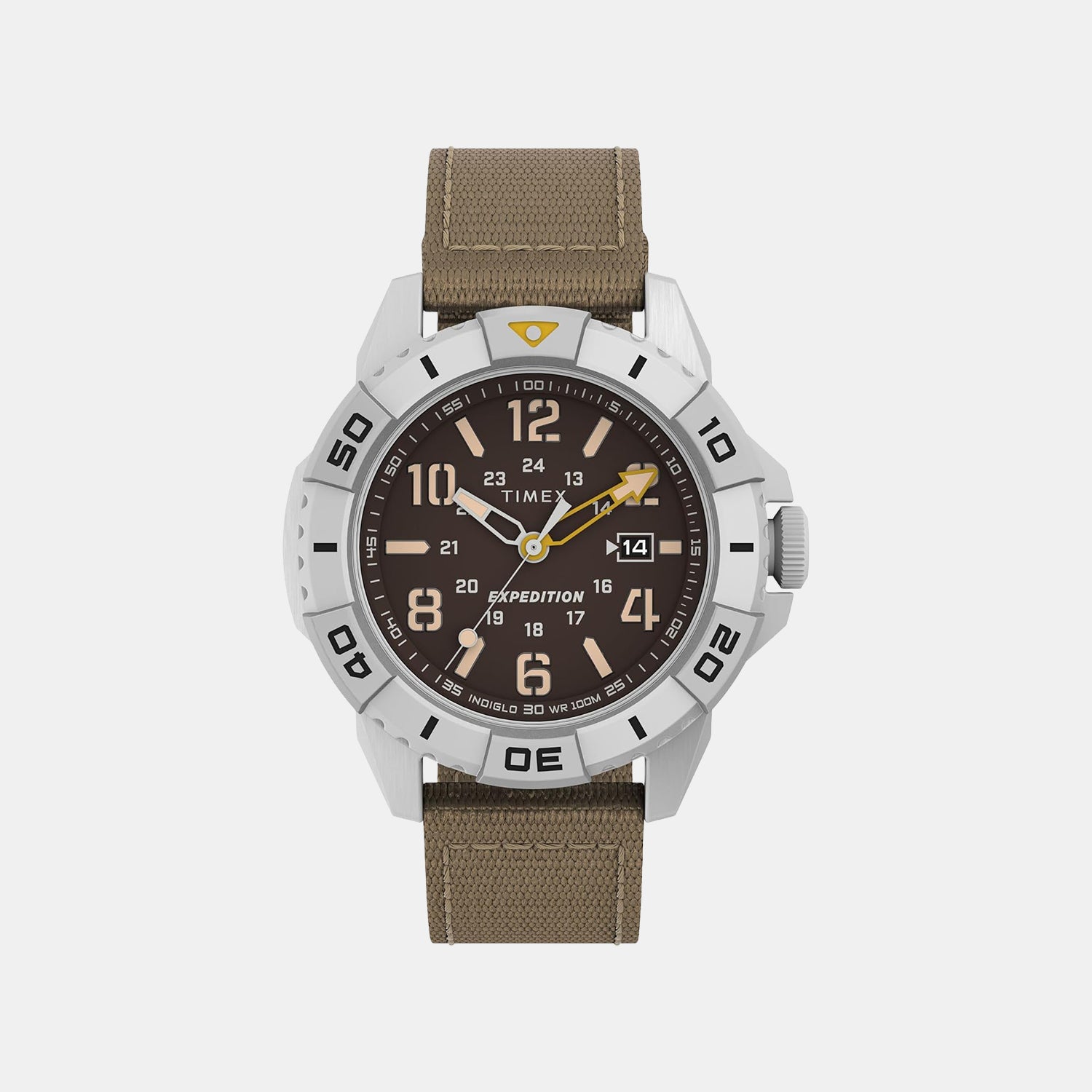 Men Quartz Brown Dial Analog Fabric Watch TW2V62400X6