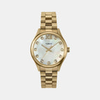 Women Quartz Mother Of Pearl Dial Analog Stainless Steel Watch TW2W85400UJ