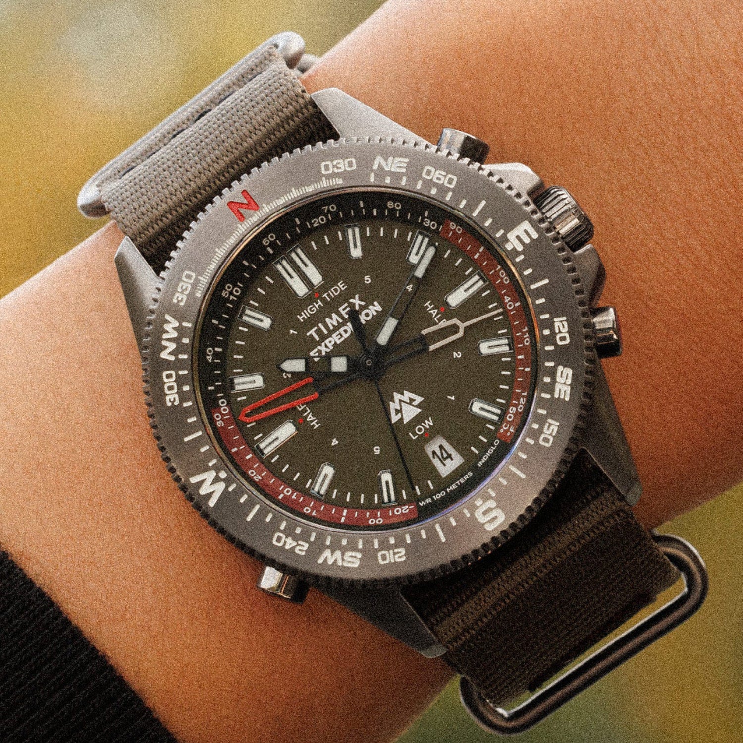 Expedition Men Quartz Green Dial Multi-Function Plastic Watch TW2W91100UJ