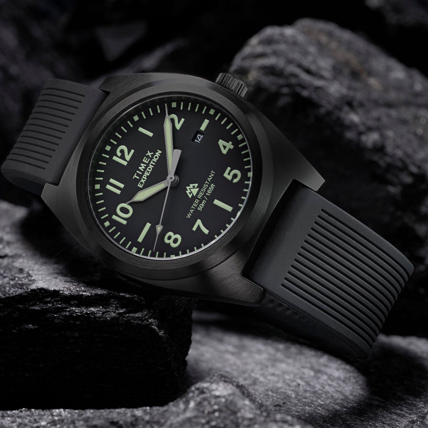 Expedition Men Quartz Black Dial Analog Silicone Watch TW2Y18100UJ