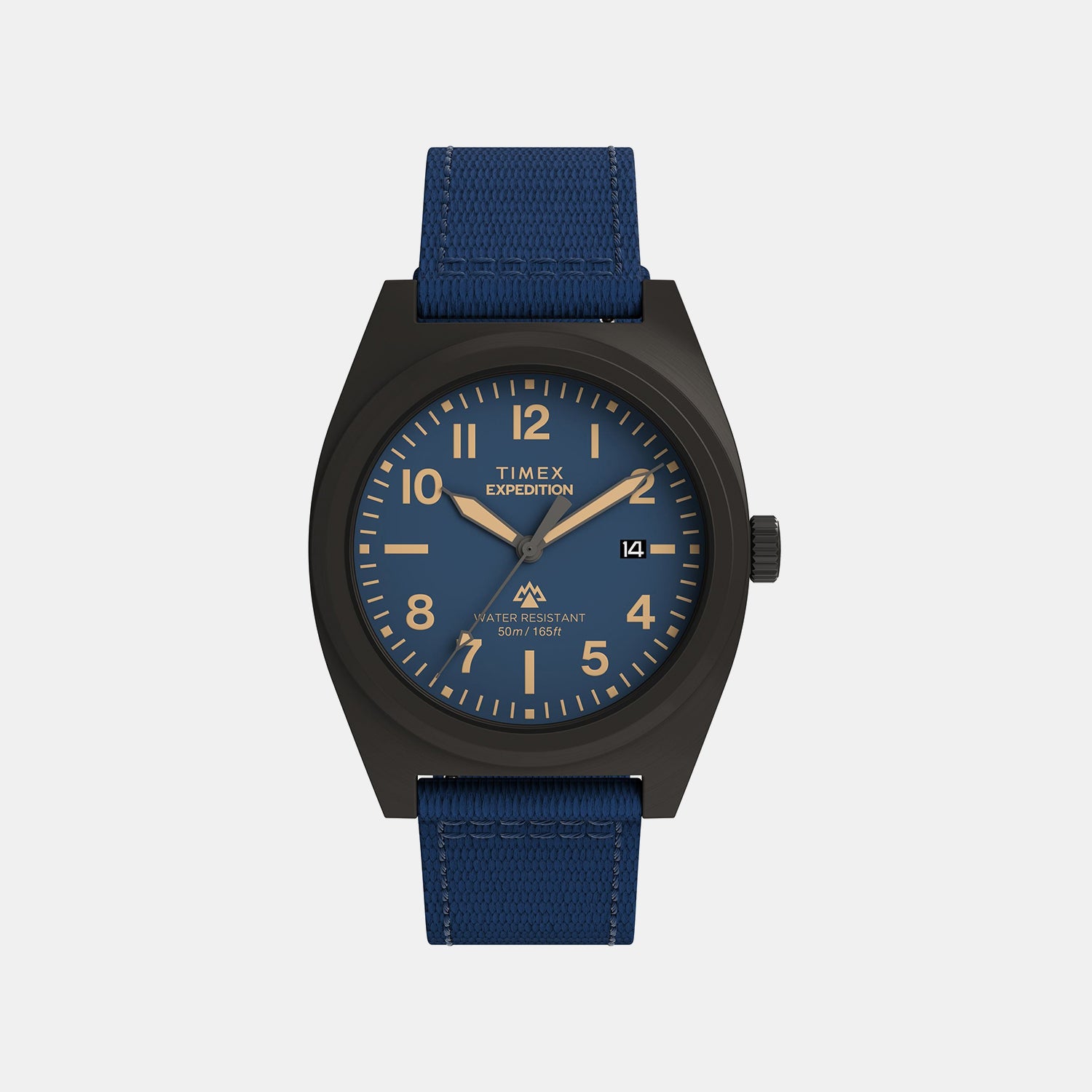 Expedition Capstone Men Quartz Blue Dial Analog Stainless Steel Watch TW2Y18200UJ