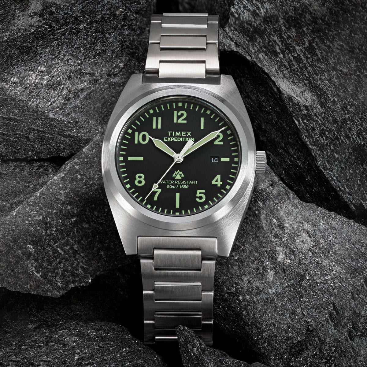 Expedition Men Quartz Black Dial Analog Stainless Steel Watch TW2Y18300IK