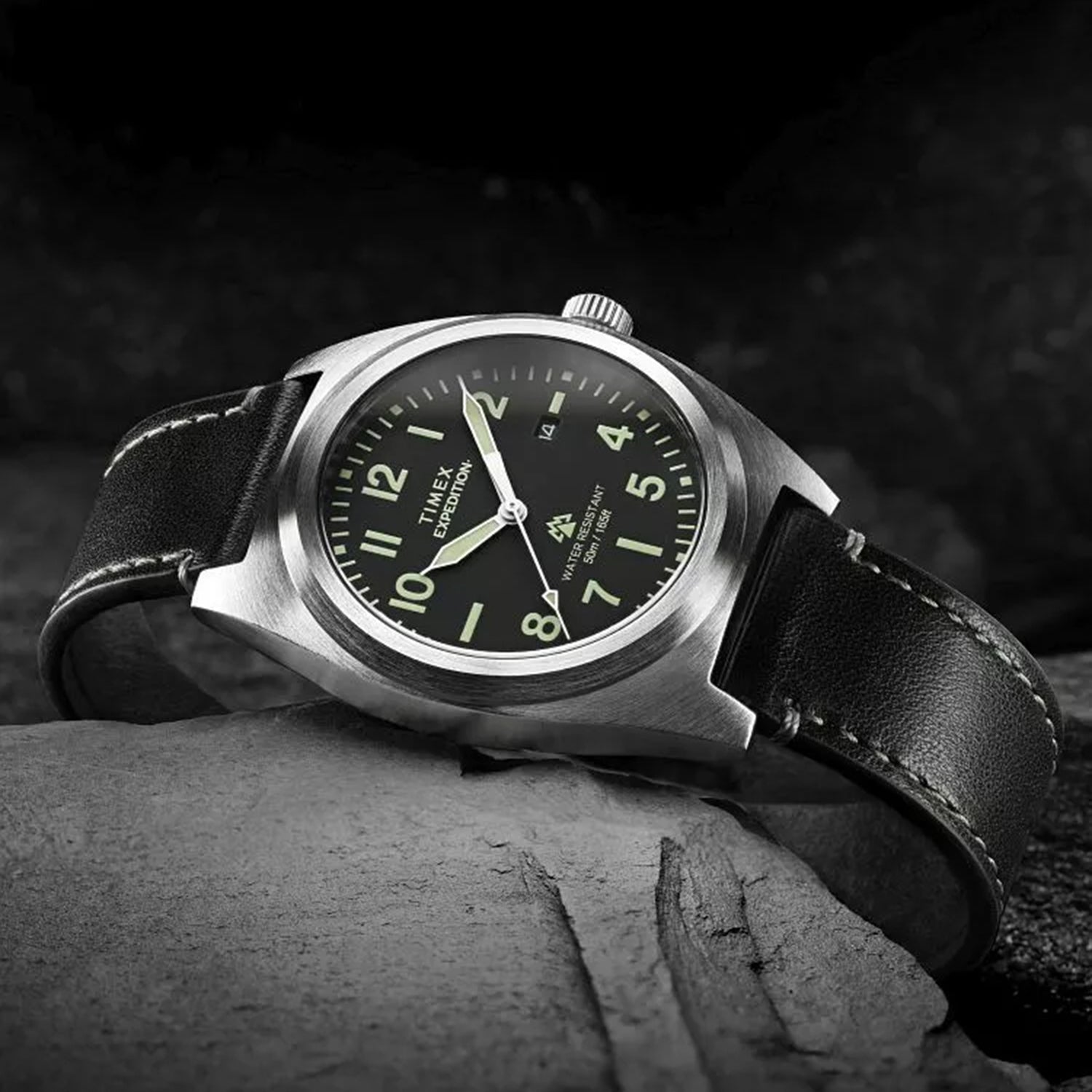 Expedition Men Quartz Black Dial Analog Leather Watch TW2Y30700UJ