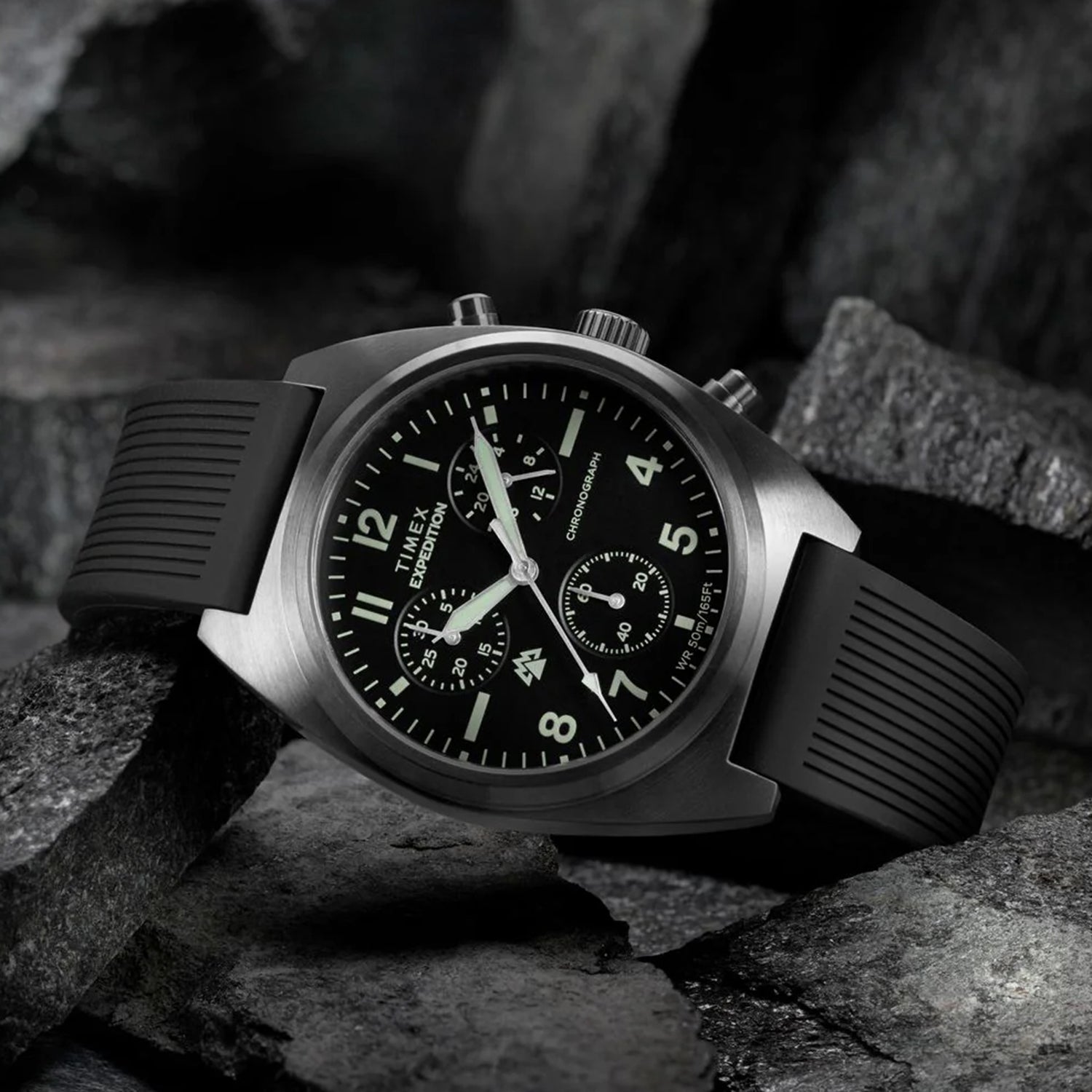 Expedition Men Quartz Black Dial Analog Silicone Watch TW2Y61000UJ