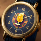 Harry Potter x Timex Weekender Icons Men Quartz Blue Dial Analog Fabric Watch TW2Y76100X6