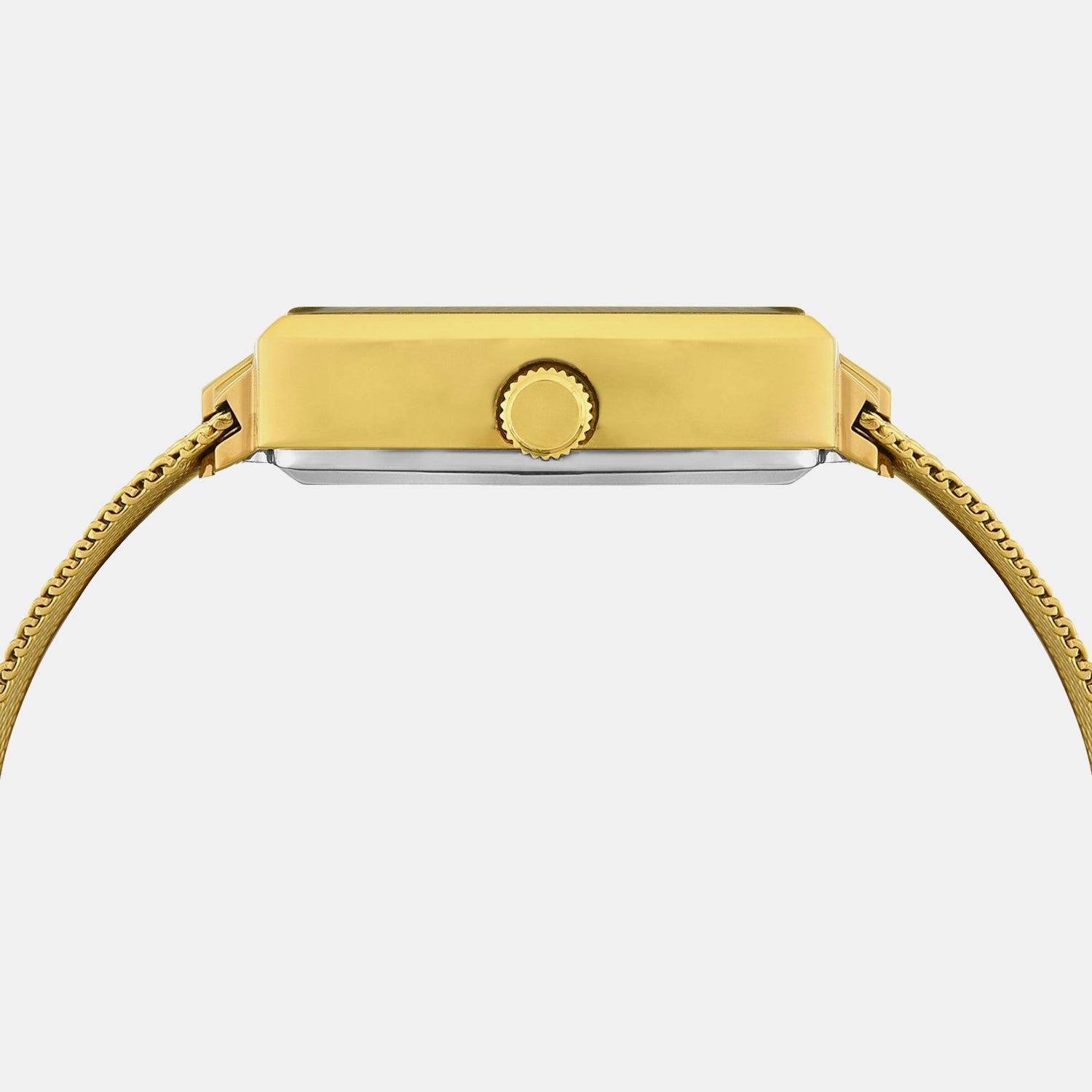 Signio Men Automatic Silver Dial Analog Mesh Watch TWEG32002