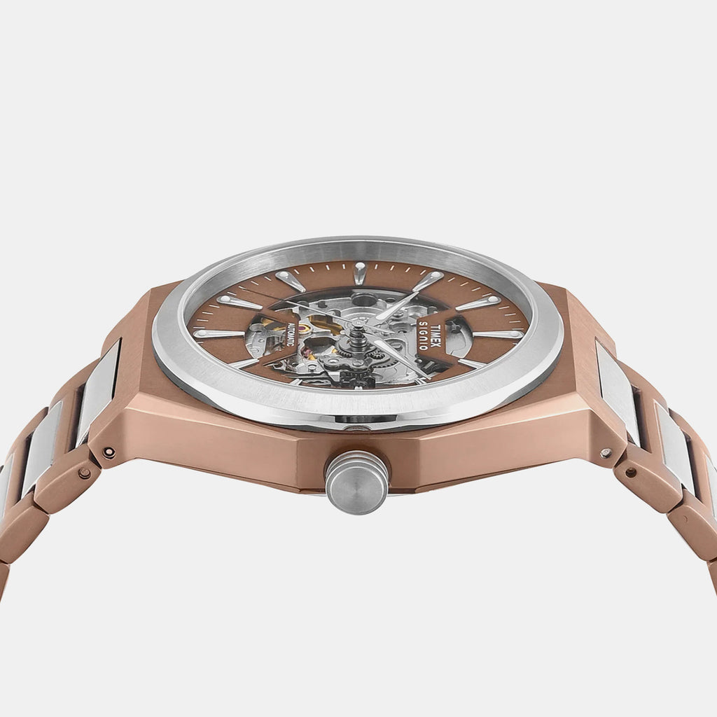 Signio Men Automatic Brown Dial Analog Stainless Steel Watch TWEG33901