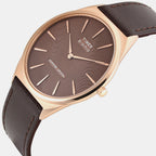Signio Men Quartz Brown Dial Analog Leather Watch TWEG34200
