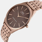 Signio Men Quartz Brown Dial Analog Stainless Steel Watch TWEG34202