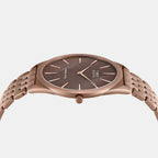 Signio Men Quartz Brown Dial Analog Stainless Steel Watch TWEG34202