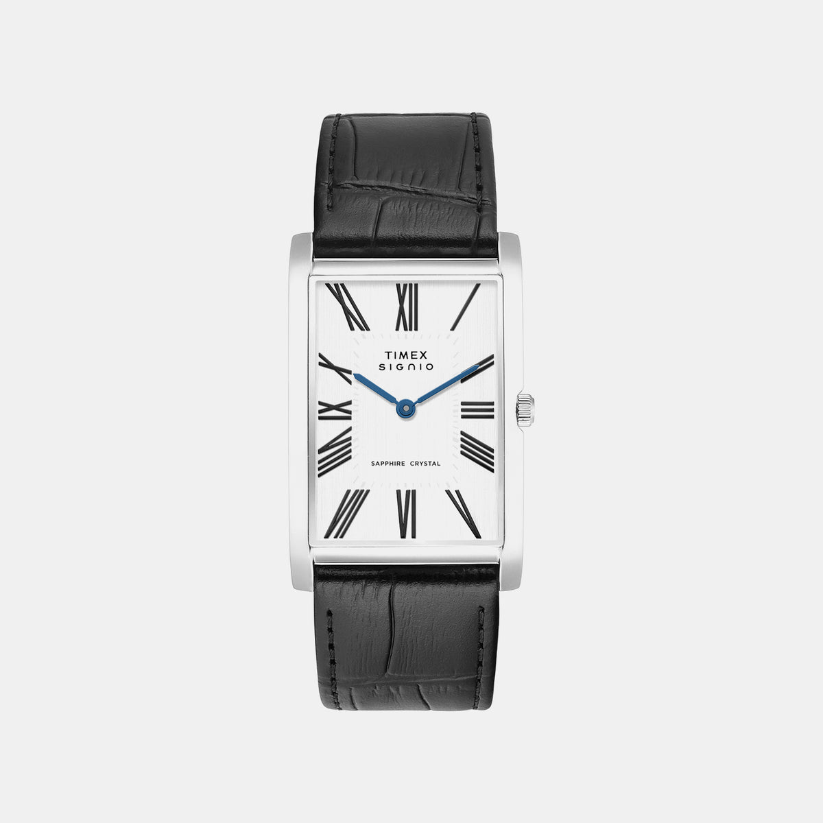 Signio Men Quartz Silver Dial Analog Leather Watch TWEG34301