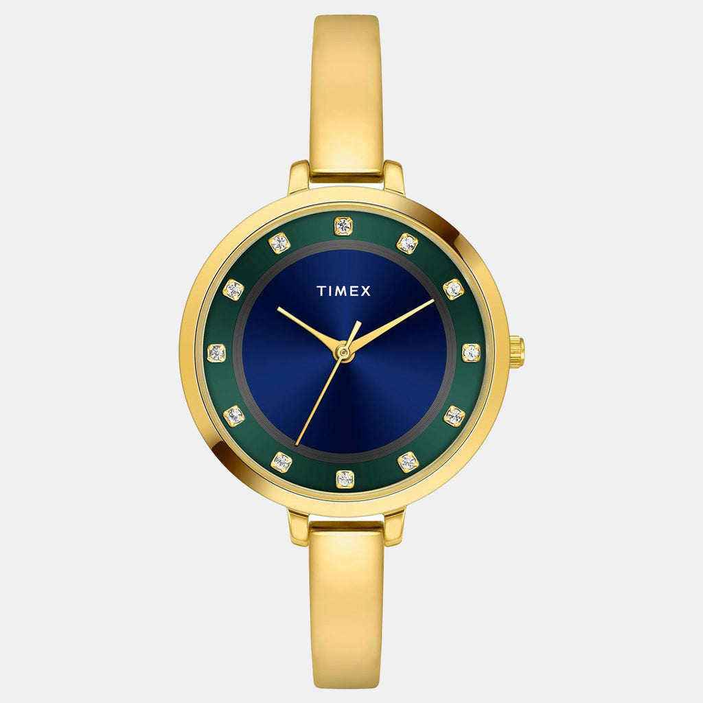 Timex Round  Analog watch