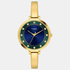 Timex Round  Analog watch