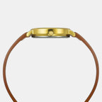 Fashion Women Quartz Champagne Dial Analog Leather Watch TWEL15822