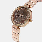 Trendline Women Quartz Brown Dial Multi-Function Stainless Steel Watch TWEL18721
