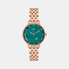 Trendline Women Quartz Dial Analog Stainless Steel Watch TWEL19103