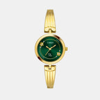 Timex Round Green Analog watch