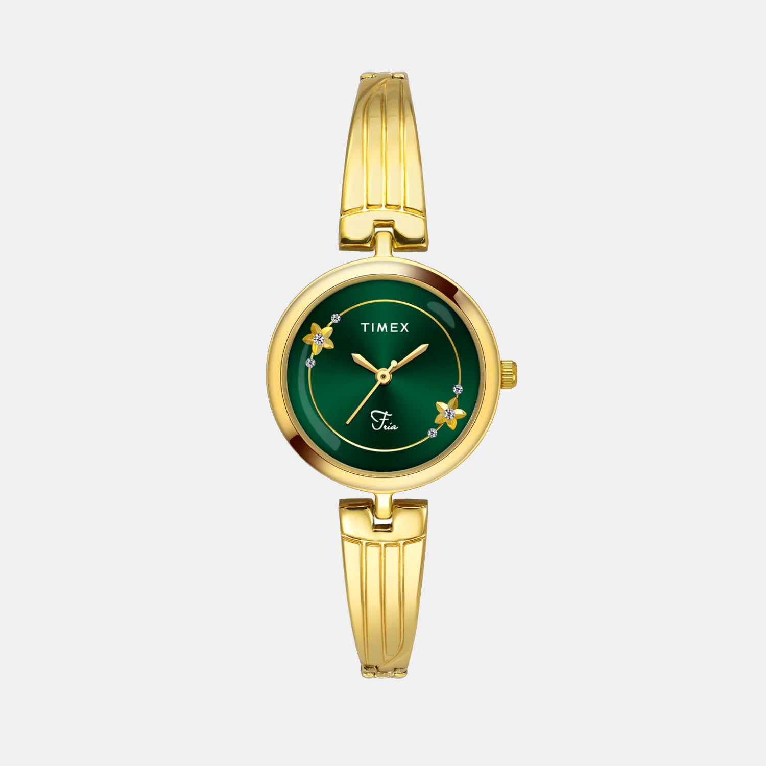 Timex Round Green Analog watch