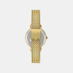 Trendline Women Quartz Champagne Dial Analog Stainless Steel Watch TWEL22303