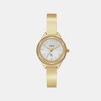 Fria Women Quartz Mother of Pearl Dial Analog Brass Watch TWEL24202