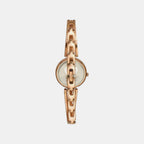 Trendline Women Quartz Dial Analog Brass Watch TWTL10305