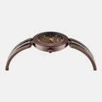 Trendline Women Quartz Dial Analog Brass Watch TWTL10313