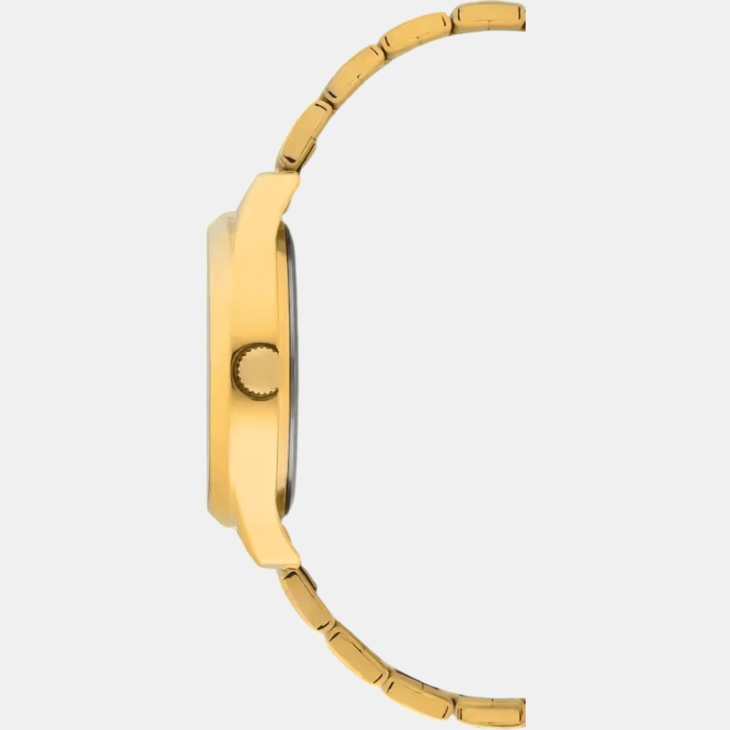 Classics Women Quartz Green Dial Analog Stainless Steel Watch TWTL13702