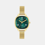 Trendline Women Quartz Dial Analog Stainless Steel Watch TWTL16502T