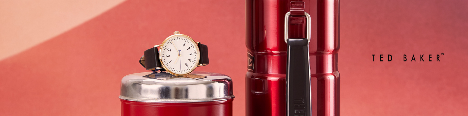 Ted Baker Watch Selection