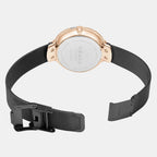 Birk Women Quartz Brown Dial Analog Stainless Steel Watch V231LXVNMN