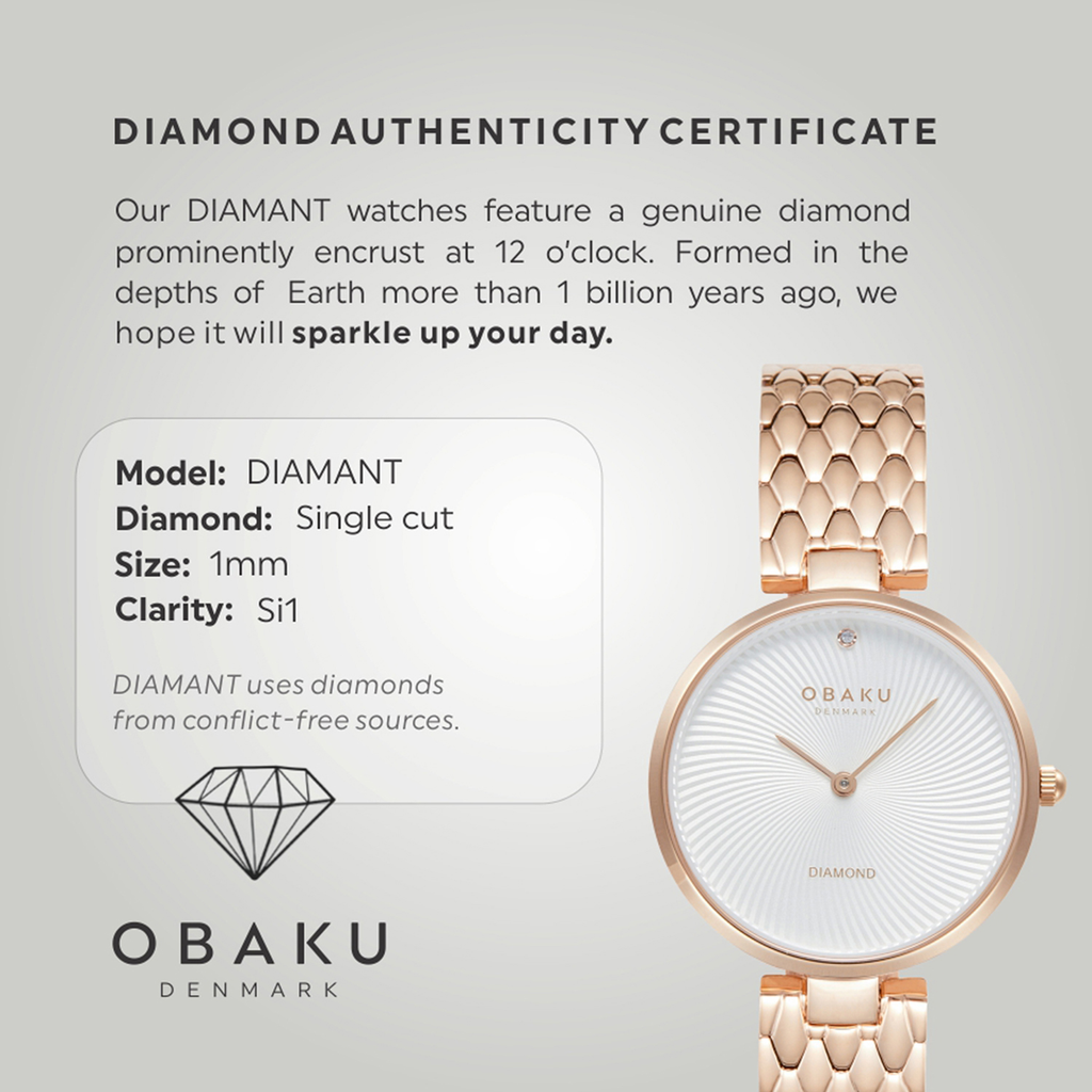 Diamant Fuchsia Women Quartz Silver Dial Analog Stainless Steel Watch V256LXVISV