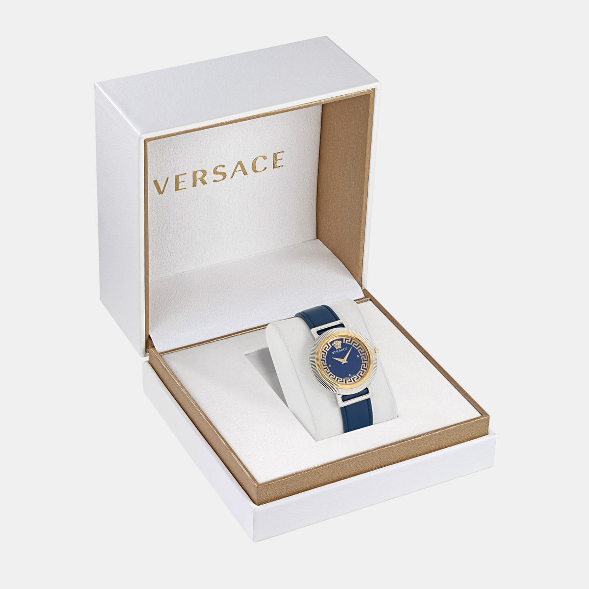 Greca Chic Women Quartz Blue Dial Analog Leather Watch VE3D00122