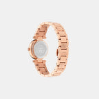 Reve Petite Women Quartz Silver Dial Analog Stainless Steel Watch VEBFA0524