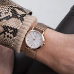 Furla Heritage Women Silver Dial Mesh Watch WW00024005L3