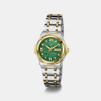Idol Women Quartz Green Dial Analog Stainless Steel Watch Z91002L9