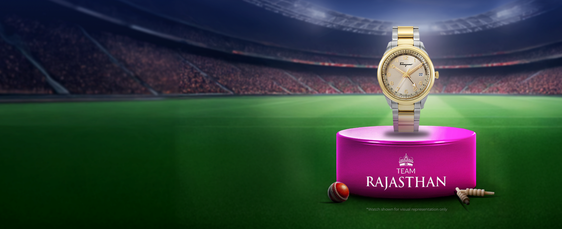 Rajasthan Favourites