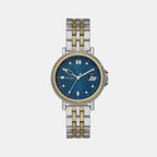 Skagen Round Blue Analog watch