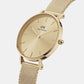 Petite Women's Gold Analog Stainless Steel Watch DW00100474K