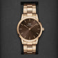 Iconic Unisex Brown Analog Stainless Steel Watch DW00100461K