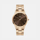 Iconic Unisex Brown Analog Stainless Steel Watch DW00100461K