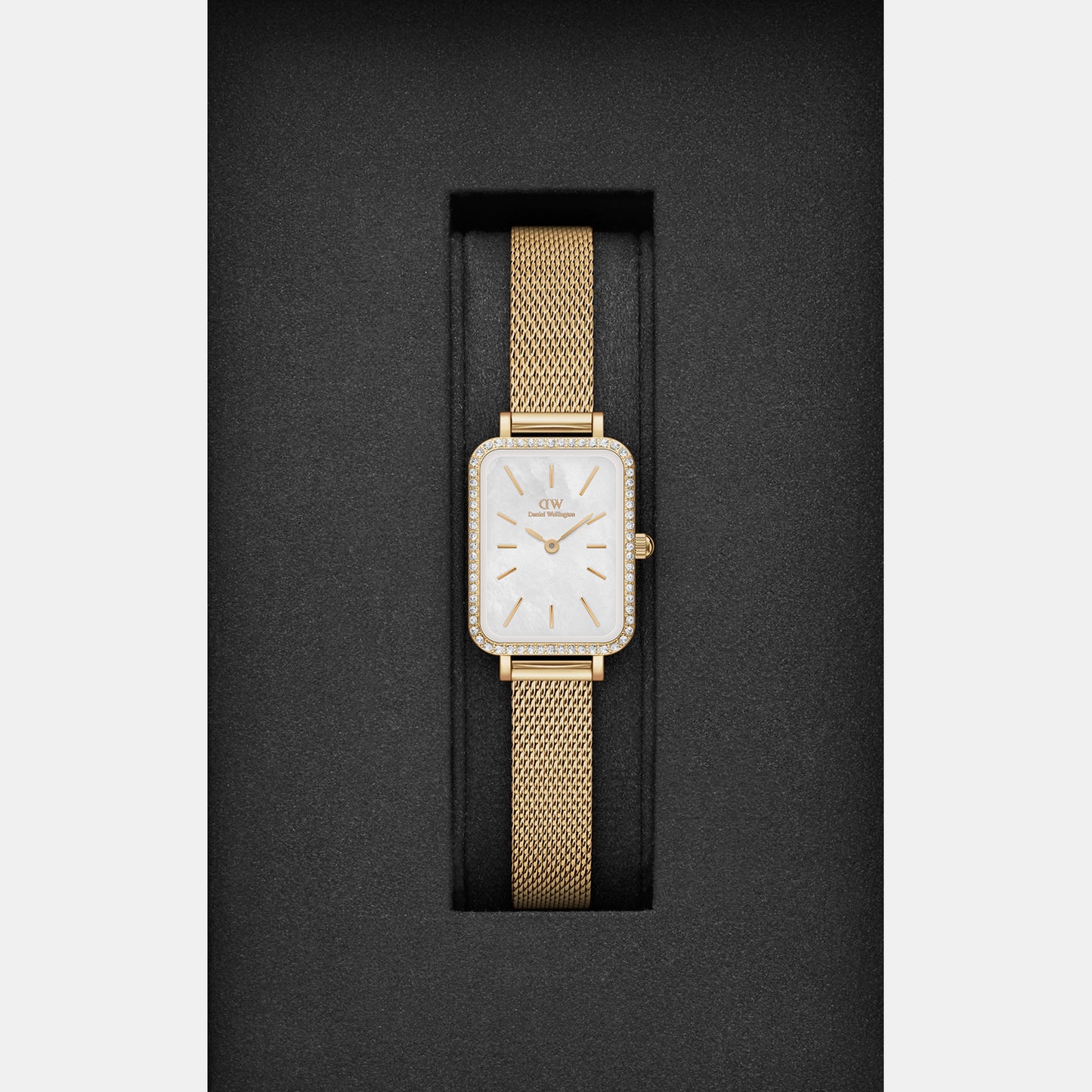 Quadro Women's Gold Analog Stainless Steel Watch DW00100668K