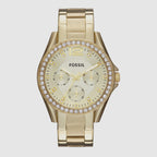 Fossil Round Champagne Chronograph watch